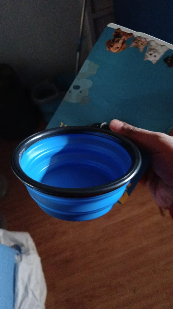 Spill-Proof_Smart_Feeding_Folding_Bowl