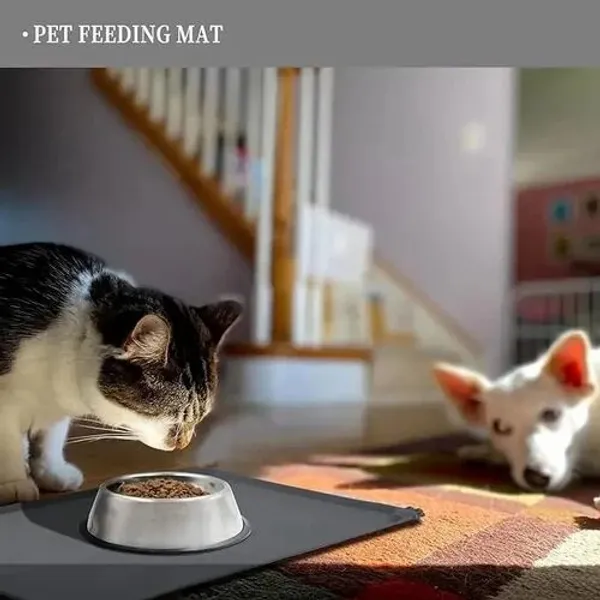 Pet_Silicon_Mat