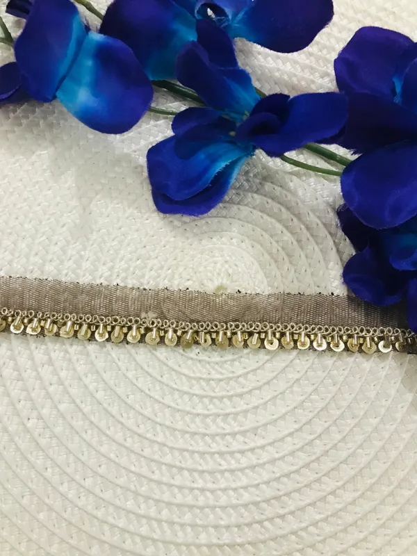 PREMDAS_LACE_Net_Fabric_Katdana_Nalki_Lace_for_Saree's_Border_Finetage_Pipe_Lace_for_Dresses,_Sarees,_Lehenga,_Suits,_Blouses,_Dupatta,_Chunni_and_Craft_(9meter)