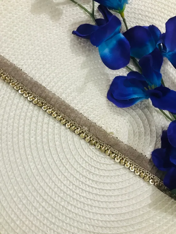 PREMDAS_LACE_Net_Fabric_Katdana_Nalki_Lace_for_Saree's_Border_Finetage_Pipe_Lace_for_Dresses,_Sarees,_Lehenga,_Suits,_Blouses,_Dupatta,_Chunni_and_Craft_(9meter)