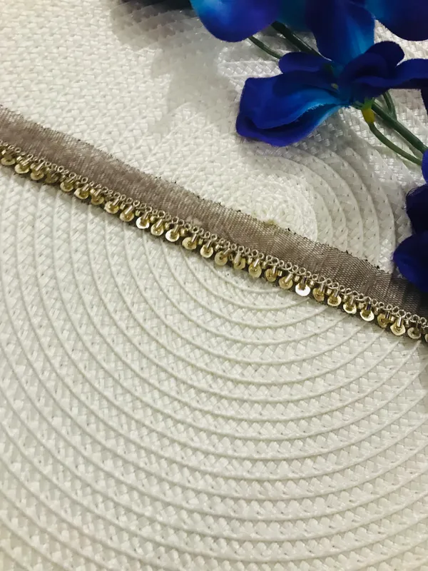 PREMDAS_LACE_Net_Fabric_Katdana_Nalki_Lace_for_Saree's_Border_Finetage_Pipe_Lace_for_Dresses,_Sarees,_Lehenga,_Suits,_Blouses,_Dupatta,_Chunni_and_Craft_(9meter)