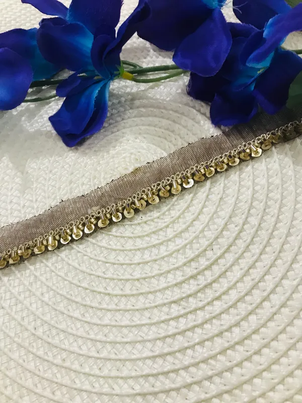 PREMDAS_LACE_Net_Fabric_Katdana_Nalki_Lace_for_Saree's_Border_Finetage_Pipe_Lace_for_Dresses,_Sarees,_Lehenga,_Suits,_Blouses,_Dupatta,_Chunni_and_Craft_(9meter)