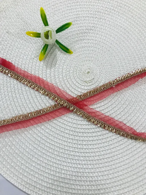 PREMDAS_LACE_Net_Fabric_Katdana_Nalki_Lace_for_Saree's_Border_Finetage_Pipe_Lace_for_Dresses,_Sarees,_Lehenga,_Suits,_Blouses,_Dupatta,_Chunri_and_Craft_(9meter)