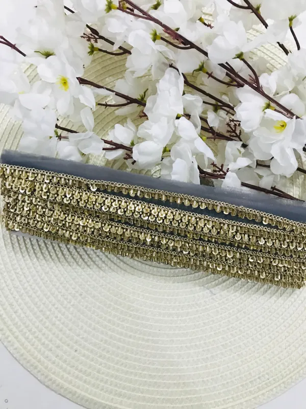 PREMDAS_LACE_Net_Fabric_Katdana_Nalki_Lace_for_Saree's_Border_Finetage_Pipe_Lace_for_Dresses,_Sarees,_Lehenga,_Suits,_Blouses,_Dupatta,_Chunri_and_Craft_(9meter)