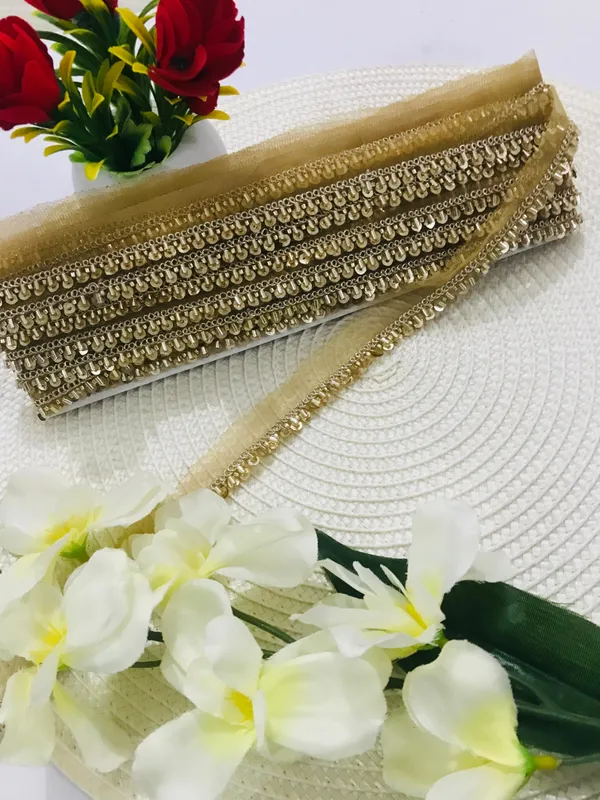 PREMDAS_LACE_Net_Fabric_Katdana_Nalki_Lace_for_Saree's_Border_Finetage_Pipe_Lace_for_Dresses,_Sarees,_Lehenga,_Suits,_Blouses,_Dupatta,_Chunri_and_Craft_(9meter)