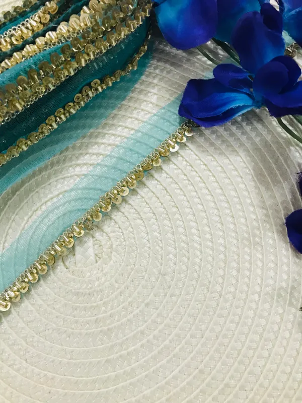 PREMDAS_LACE_Net_Fabric_Katdana_Nalki_Lace_for_Saree's_Border_Finetage_Pipe_Lace_for_Dresses,_Sarees,_Lehenga,_Suits,_Blouses,_Dupatta,_Chunri_and_Craft_(9meter)
