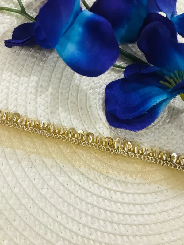 PREMDAS_LACE_Net_Fabric_Katdana_Nalki_Lace_for_Saree's_Border_Finetage_Pipe_Lace_for_Dresses,_Sarees,_Lehenga,_Suits,_Blouses,_Dupatta,_Chunri_and_Craft_(9meter)