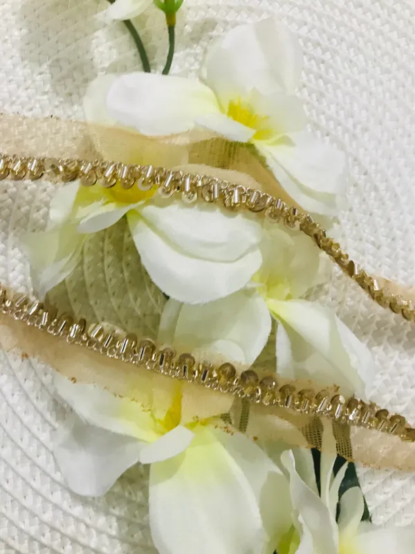 PREMDAS_LACE_Net_Fabric_Katdana_Nalki_Lace_for_Saree's_Border_Finetage_Pipe_Lace_for_Dresses,_Sarees,_Lehenga,_Suits,_Blouses,_Dupatta,_Chunri_and_Craft_(9meter)