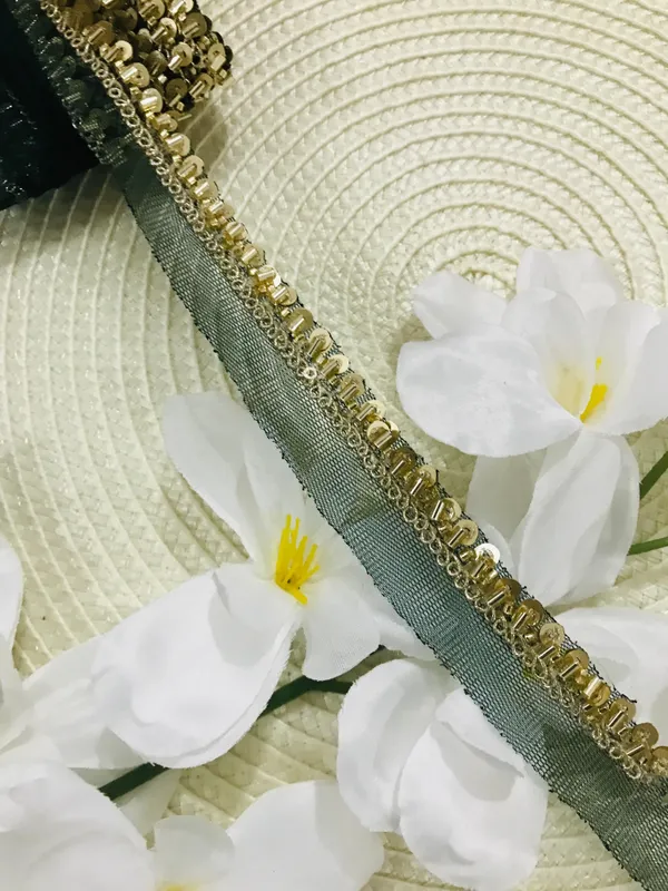 PREMDAS_LACE_Net_Fabric_Katdana_Nalki_Lace_for_Saree's_Border_Finetage_Pipe_Lace_for_Dresses,_Sarees,_Lehenga,_Suits,_Blouses,_Dupatta,_Chunri_and_Craft_(9meter)