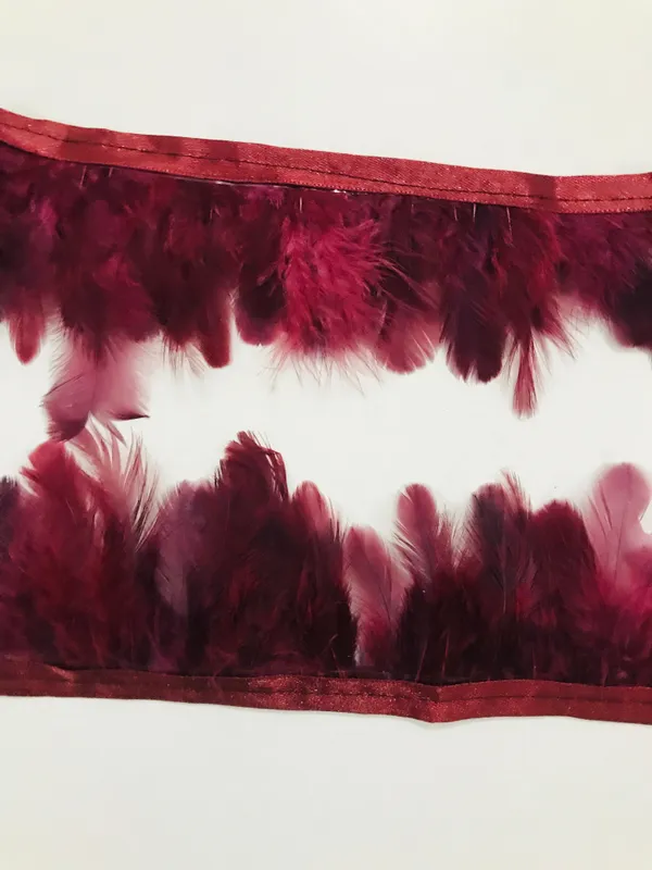 Premdas_Lace_Natural_Dyed_Feathers_Lace_Ethnic_Wear_Trim_Lace_Border_Craft_Material_for_Wedding_Party_Suits,_Sarees,_Lehengas,_Dresses_Embellishment_Designing_&_Tailoring_Purpose_9_Meter