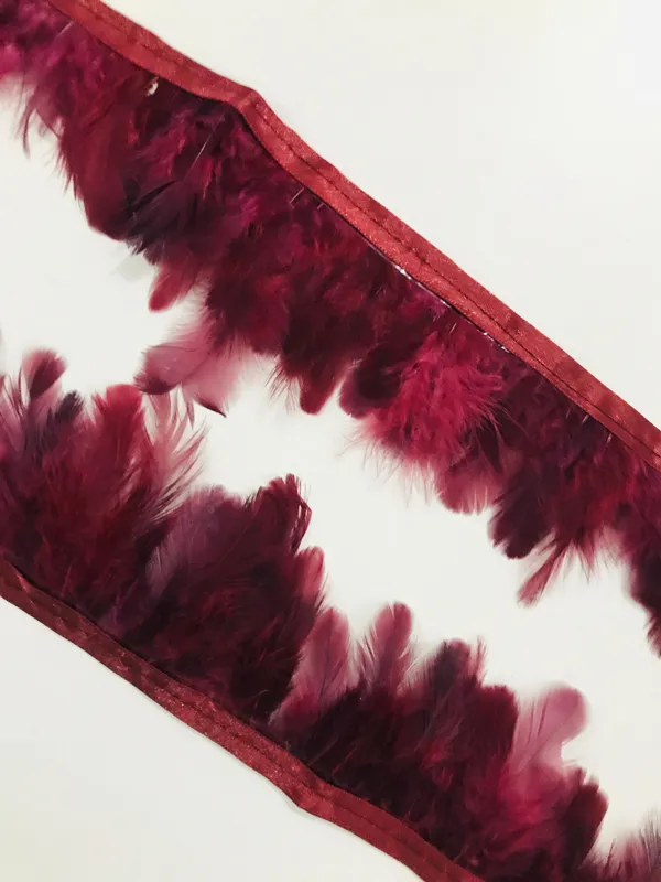 Premdas_Lace_Natural_Dyed_Feathers_Lace_Ethnic_Wear_Trim_Lace_Border_Craft_Material_for_Wedding_Party_Suits,_Sarees,_Lehengas,_Dresses_Embellishment_Designing_&_Tailoring_Purpose_9_Meter
