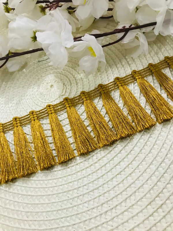 Premdas_Lace_Tassel_Fringe_Sequence_Lace_Border_for_Dresse,_Saree,_Lehenga,_Dupatta,_Bag,_Craft_and_Decorations_Colour_(9_Metre)