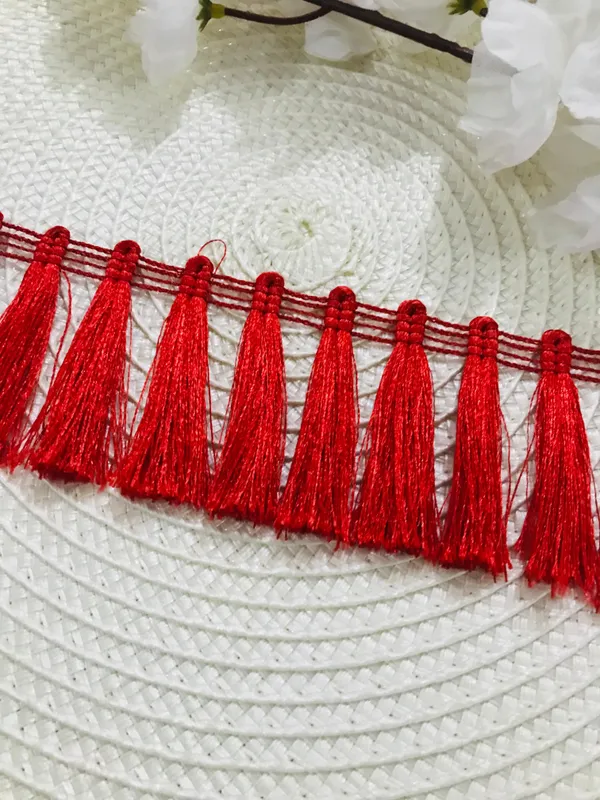Premdas_Lace_Tassel_Fringe_Sequence_Lace_Border_for_Dresse,_Saree,_Lehenga,_Dupatta,_Bag,_Craft_and_Decorations_Colour_(9_Metre)
