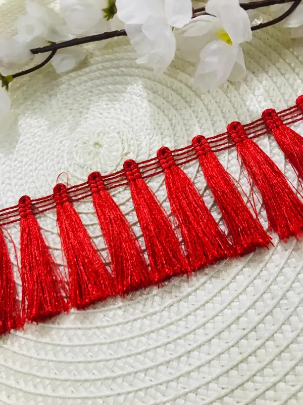 Premdas_Lace_Tassel_Fringe_Sequence_Lace_Border_for_Dresse,_Saree,_Lehenga,_Dupatta,_Bag,_Craft_and_Decorations_Colour_(9_Metre)