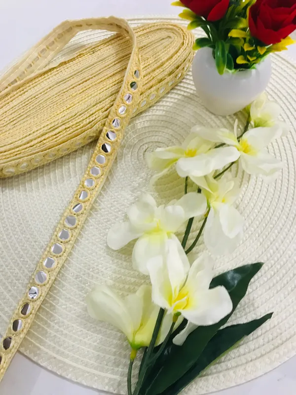 Premdas_Lace__Mirror_Patti_Lace_Border_for_Saree,_Dress,_Dupatta,_Lehenga,_Bag,_Home_D�cor_&_DIY_Craft_Projects