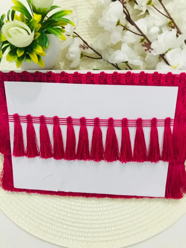 Premdas__Lace_Tassel_Fringe_Sequence_Lace_Border_for_Dresse,_Saree,_Lehenga,_Dupatta,_Bag,_Craft_and_Decorations_Colour_(9_Metre)