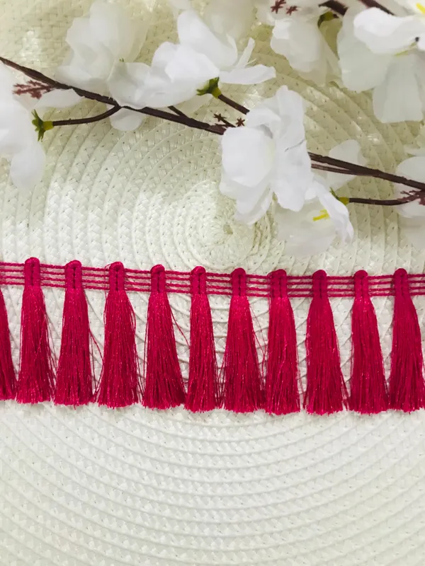 Premdas__Lace_Tassel_Fringe_Sequence_Lace_Border_for_Dresse,_Saree,_Lehenga,_Dupatta,_Bag,_Craft_and_Decorations_Colour_(9_Metre)