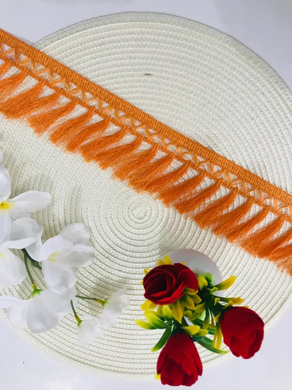 Premdas_lace_Tassel_Fringe_Sequence_Lace_Border_for_Saree,_Lehenga,_Dupatta,_Bag,_Craft_and_Decorations