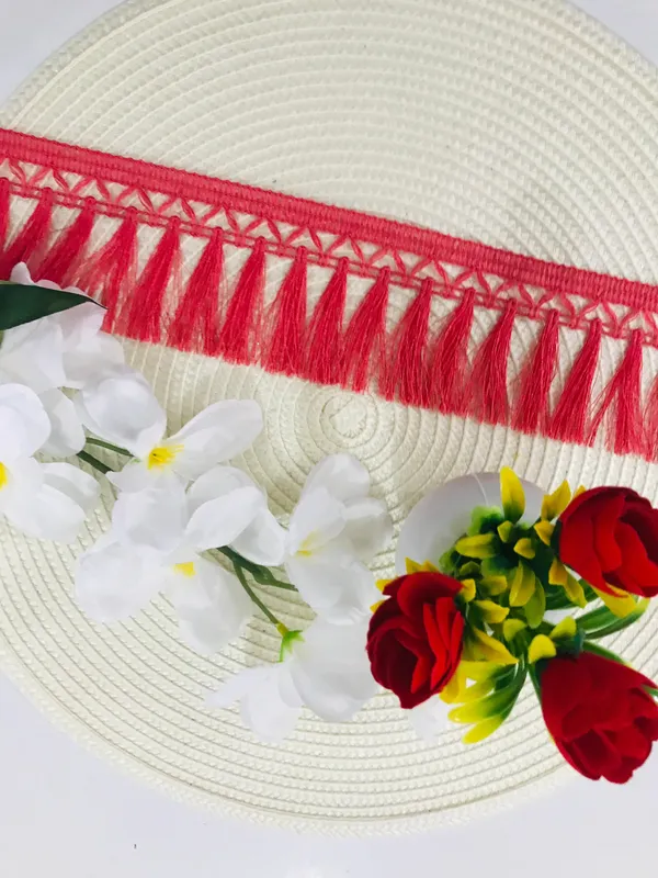Premdas_lace_Tassel_Fringe_Sequence_Lace_Border_for_Saree,_Lehenga,_Dupatta,_Bag,_Craft_and_Decorations