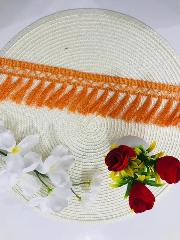 Premdas_lace_Tassel_Fringe_Sequence_Lace_Border_for_Saree,_Lehenga,_Dupatta,_Bag,_Craft_and_Decorations