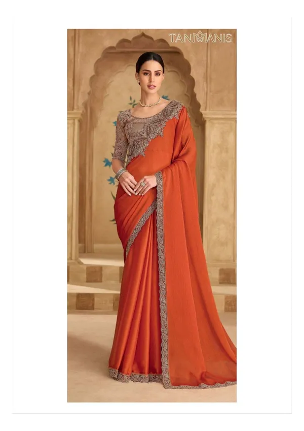Fancy_Tissue_georgette_Saree_with_Blouse_-_Burnt_rust_/_ember_orange_with_antique_taupe-silver_embroidery