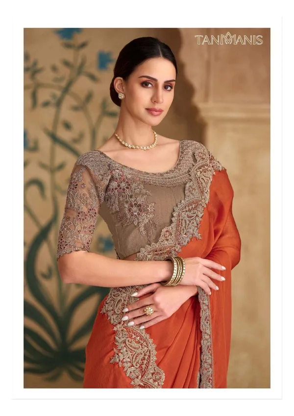 Fancy_Tissue_georgette_Saree_with_Blouse_-_Burnt_rust_/_ember_orange_with_antique_taupe-silver_embroidery
