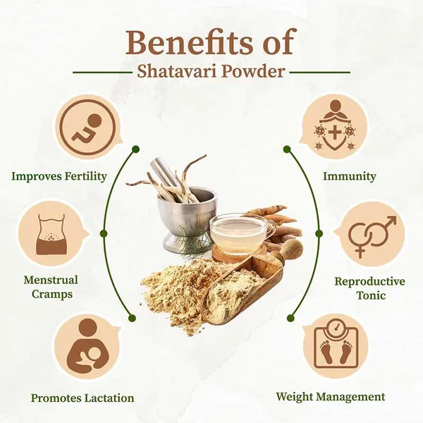 Roods_Fresh_Shatavar_(Shatavari)_Root_100_G