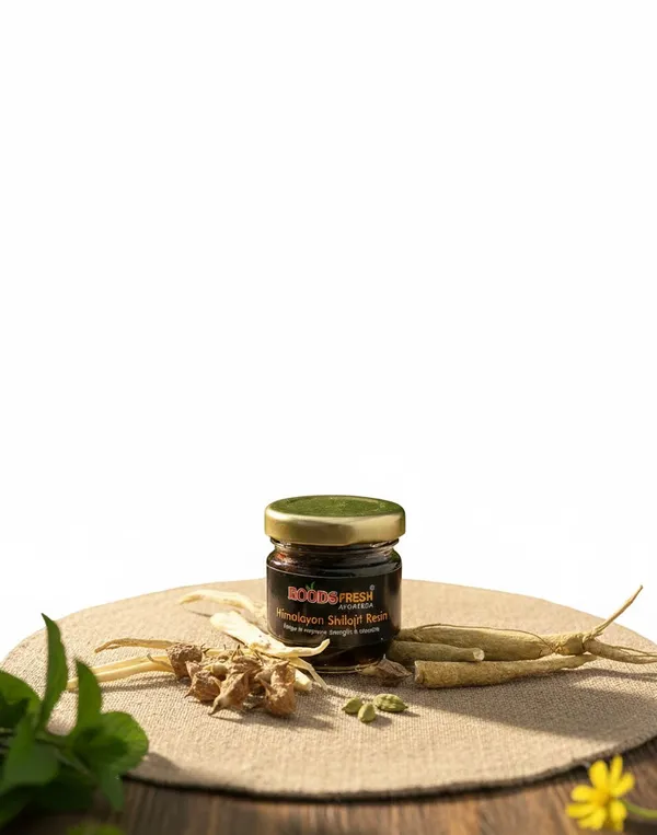 Himalaya_Shilajit_Pure_Ayurvedic_Strength_&_Vitality_Resin