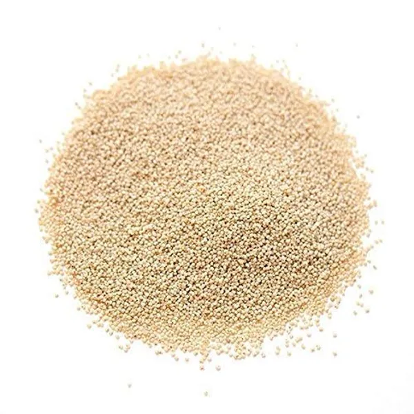 Roods_Fresh_100%_Natural_Fresh_White_Poppy_Seeds_(Pasta_Dhana,_Khus_Khus)_100_Grams