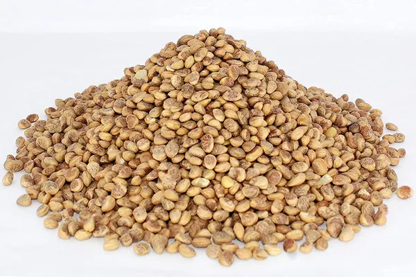 Roods_Fresh_Almondette_Kernels_-_Chiraunji_-_Chironji-_Charoli_Seeds_100_Grams_Pack