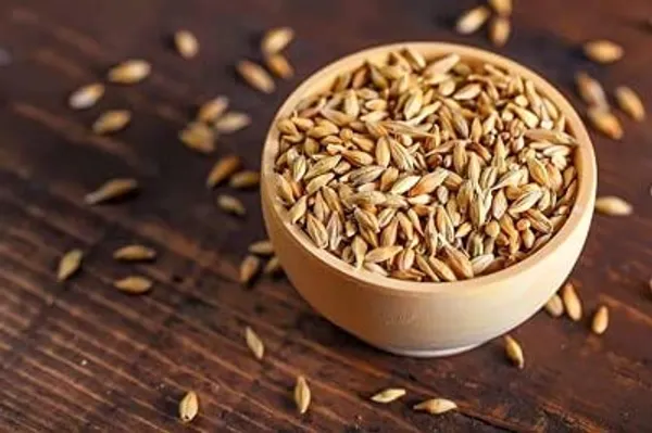 Roods_Fresh_Barley_Grain/Natural_And_Rich_Fiber_Jau_Seeds_(900_Gram)