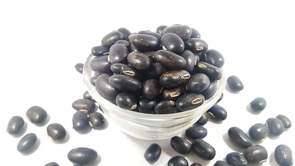 Roods_Fresh_Beej_Kaunch_Kala_-_Mucuna_Pruriens_-_Black_Kaunch_Seeds_-_Cowhage_(300_G)