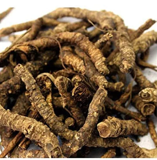 Roods_Fresh_Kutki_Root_|_Picrorhiza_Kurroa_Hellabore_|_Katukarogani_Root_(100_Gram)