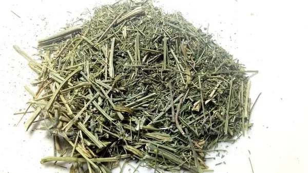 Roods_Fresh_Kirayata_Chirayata_-_Bitterstick_-_Chirata