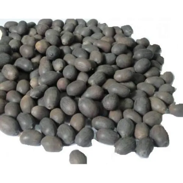 Roods_Fresh_Kamal_Gatta_-_Nelumbo_Nucifera_Gaertn_-_Lotus_Seeds_(400_Gm)