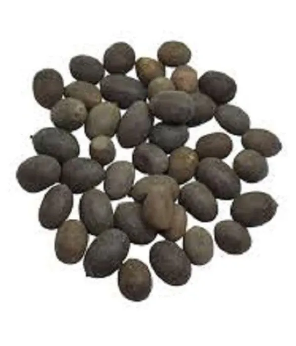 Roods_Fresh_Kamal_Gatta_-_Nelumbo_Nucifera_Gaertn_-_Lotus_Seeds_(400_Gm)