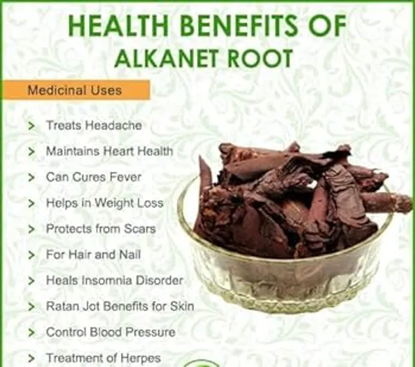 Roods_Fresh_Ratanjot_-_Onosma_Echioides_-_Alkanna_Tinctoria_-_Alkanet_Root_(100_Gram)_Pack_of_2