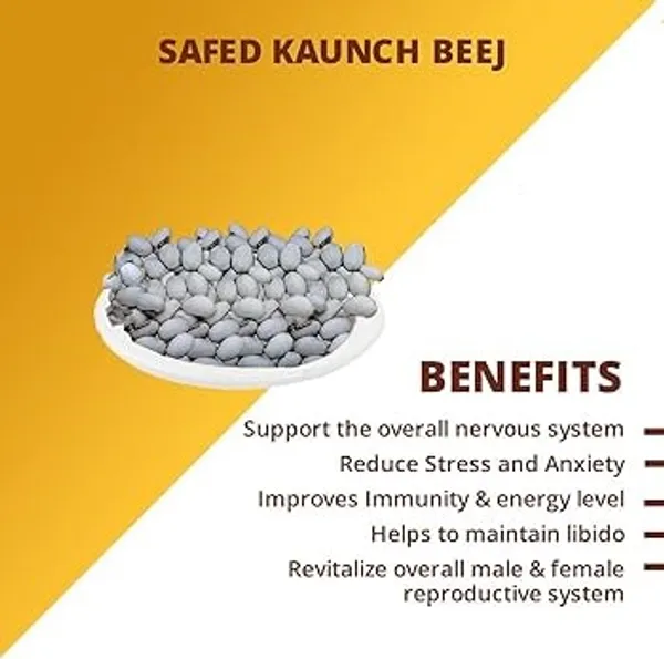 Roods_Fresh_Premium_Kaunch_White_-_Kaunch_Beej_Safed_-_Cowhage_-_Mucuna_Pruriens_-_Kapikachchhu_-_Pure_&_Natural_-_250_Grams
