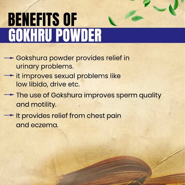 Roods_Fresh_Gokhru_Chota_-_Gokhroo_Chota_-_Tribulus_Terrestris_Seeds_-_Small_Caltrops_(200_Gram)