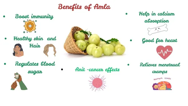 Roods_Fresh_Pure_Amla_Powder_For_Hair_Growth_(250_Grams)_|_Ideal_For_Hair,_Eating,_Drinking_&_Skin
