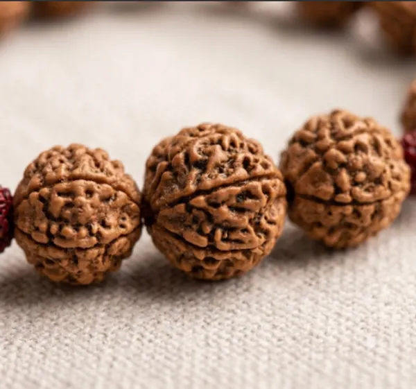 Panch_Mukhi_Rudraksha_Bracelet_–_Sacred_Bead_of_Protection,_Peace_&_Spiritual_Balance