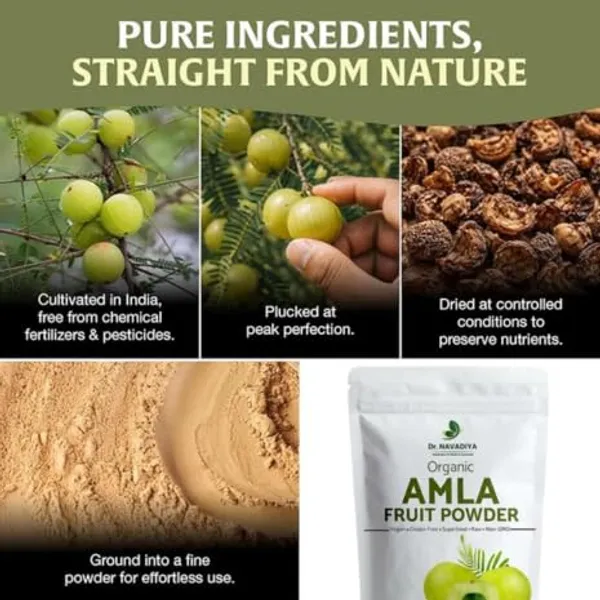 Organic_Amla_Fruit_Powder_For_Your_Health_And_Hair_Care_|_113_Gm_|_Pack_Of_2