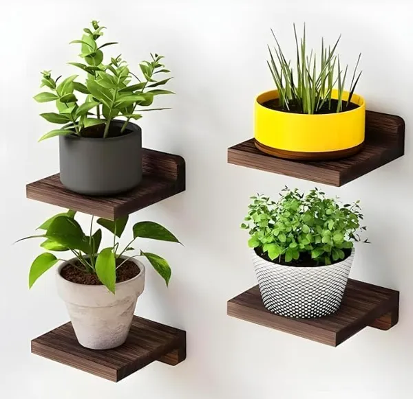Craftsaura__Dark_Brown_Wooden_Wall_Mounted_Plant_Shelf