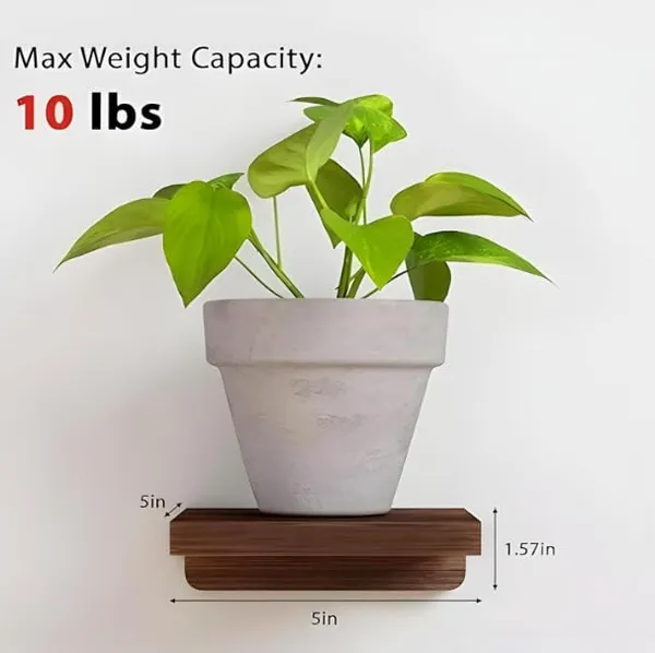 Craftsaura__Dark_Brown_Wooden_Wall_Mounted_Plant_Shelf