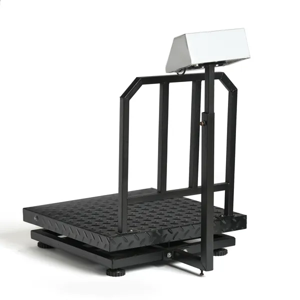 Ace_MS_Digital_Platform_Weighing_Scale_600x600mm_Stainless_Steel_|_300kg_Capacity,_50g_Accuracy_|_Made_in_India_Product,_ISO_Certified_Digital_Weight_Machine_for_Shop,_Warehouse,_Industrial_Use