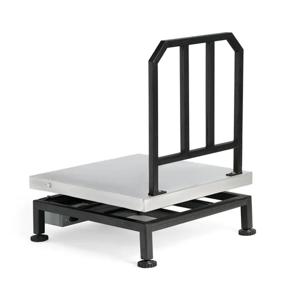 Ace_Electronic_Platform_Weighing_Scale_|_120kg_Capacity,_20g_Accuracy_|_Digital_Weight_Machine_for_Shop,_Commercial_&_Industrial_Use_|_Stainless_Steel_Platform_(24?24_Inches_/_600x600mm)