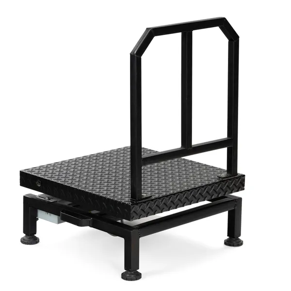 Digital_Electronic_Weighing_Scale_Weight_Machine_for_Shop,_Commercial_and_Industrial_use_Capacity_200_kg_Accuracy_10_g_(Ms_Platform)_Chargeable_with_Front_Back_Double_Red_Display,_(500_*_500)_mm