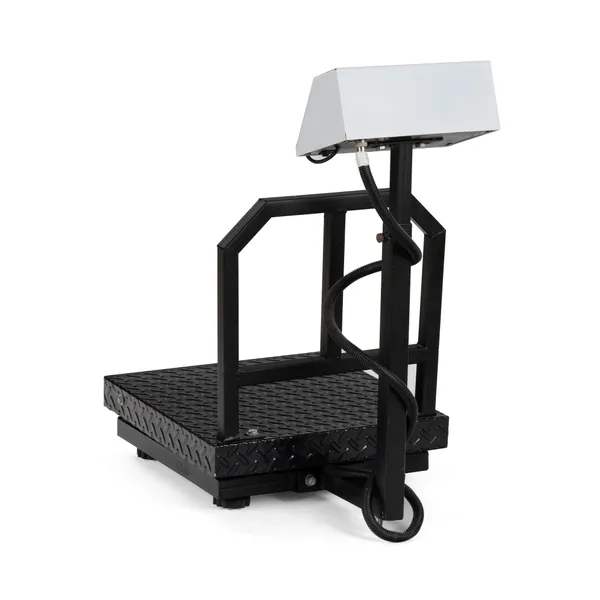 ACE_Electronic_Platform_Weighing_Scale_120kg_Capacity_20g_Accuracy_Weight_Machine_Digital_for_Shop,_Commercial_and_Industrial_use_Mild_Steel_Heavy_Platform_size_16?16_Inches_(400x400mm)