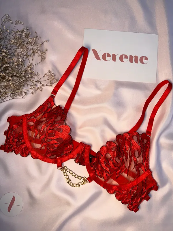 Fiery_Desire_Lingerie_Set