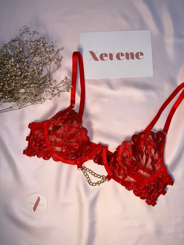 Fiery_Desire_Lingerie_Set